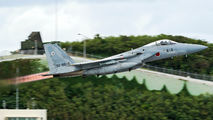 32-8816 - Japan - Air Self Defence Force Mitsubishi F-15J aircraft