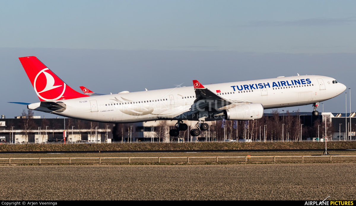 Turkish Airlines TC-LOG aircraft at Amsterdam - Schiphol
