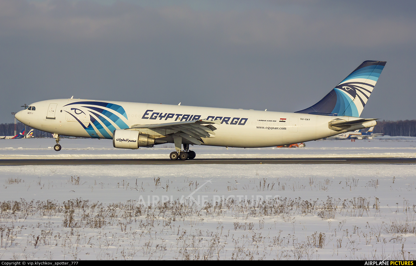 Egyptair Cargo SU-GAY aircraft at Moscow - Domodedovo