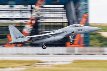 22-8929 - Japan - Air Self Defence Force Mitsubishi F-15J
