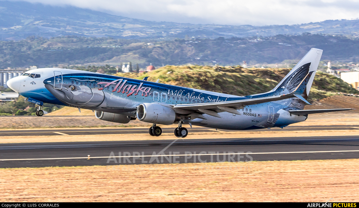 Alaska Airlines N559AS aircraft at San Jose - Juan Santamaría Intl