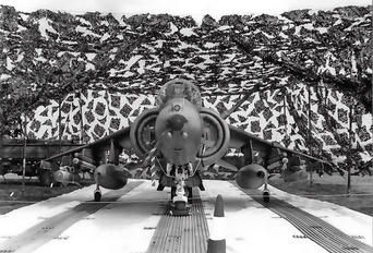 - - Royal Air Force Hawker Siddeley Harrier GR.7