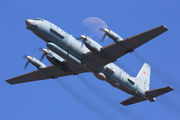 90924 - Russia - Air Force Ilyushin Il-20 aircraft