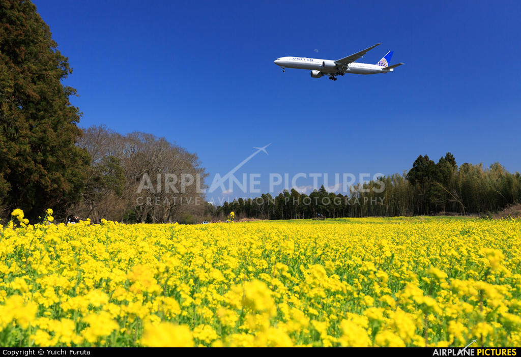 United Airlines - aircraft at Tokyo - Narita Intl