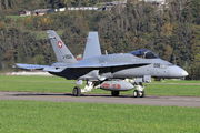 J-5006 - Switzerland - Air Force McDonnell Douglas F/A-18C Hornet aircraft