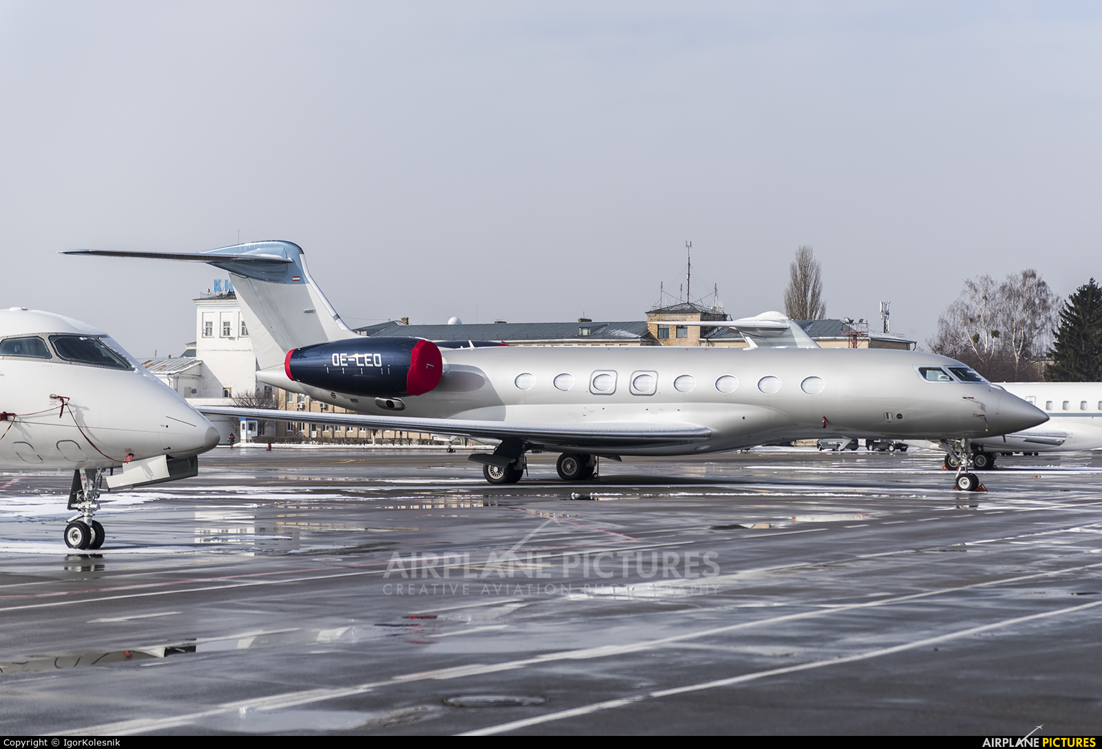 Global Jet Austria OE-LEO aircraft at Kyiv - Zhulyany