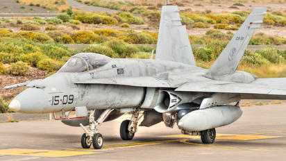 CE.15-09 - Spain - Air Force McDonnell Douglas EF-18B Hornet