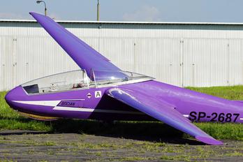 SP-2687 - Aeroklub Gliwicki PZL SZD-9 Bocian