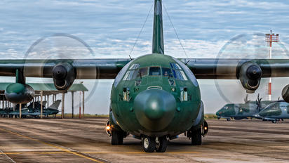 2474 - Brazil - Air Force Lockheed C-130M Hercules