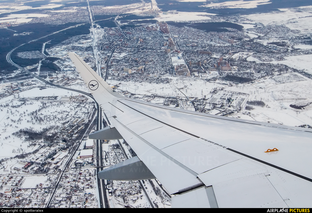 Lufthansa D-AIUO aircraft at Moscow - Domodedovo