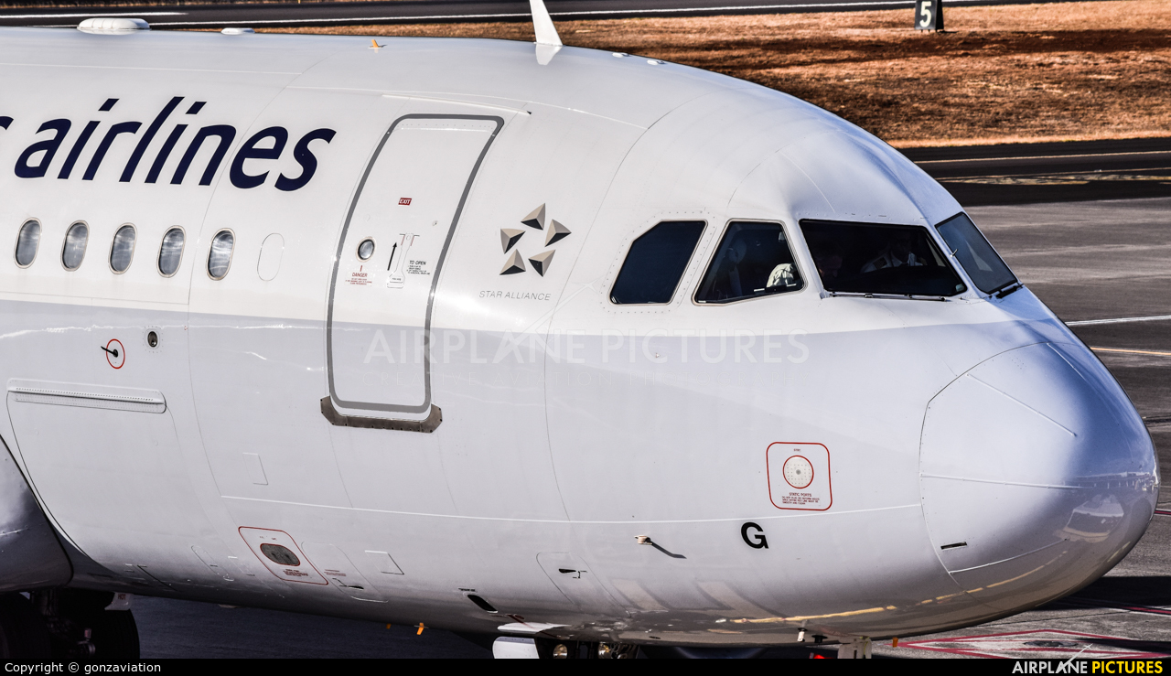 Brussels Airlines OO-SSG aircraft at Madeira