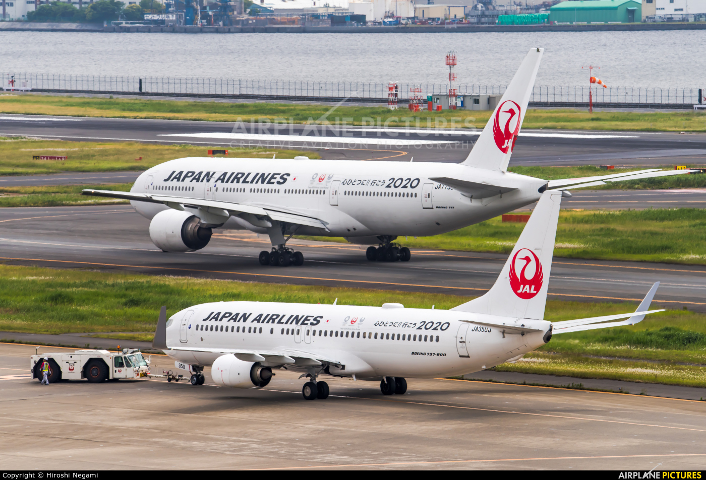 JAL - Japan Airlines JA350J aircraft at Tokyo - Haneda Intl