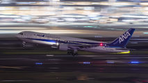 ANA - All Nippon Airways JA8569 image
