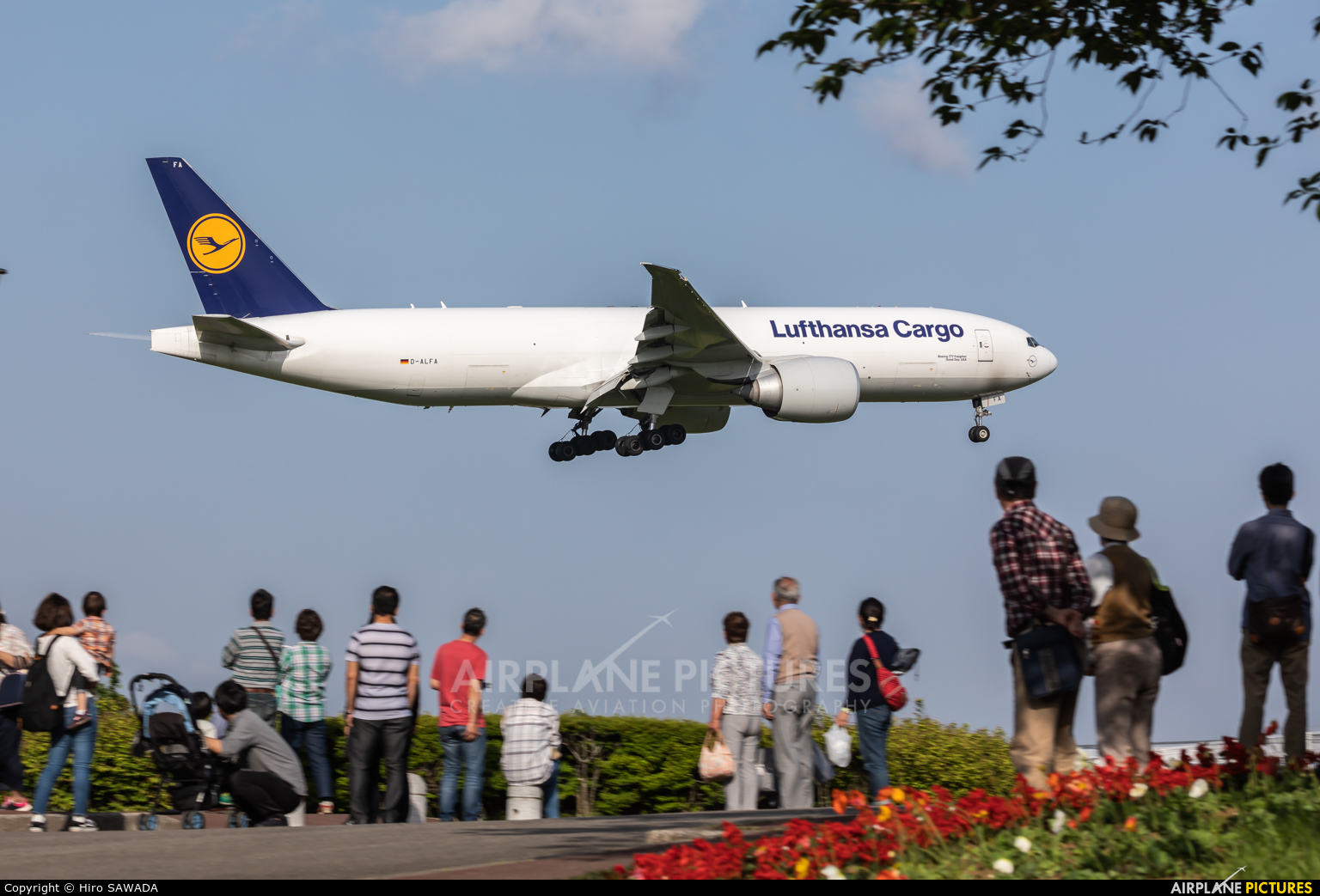 Lufthansa Cargo D-ALFA aircraft at Tokyo - Narita Intl