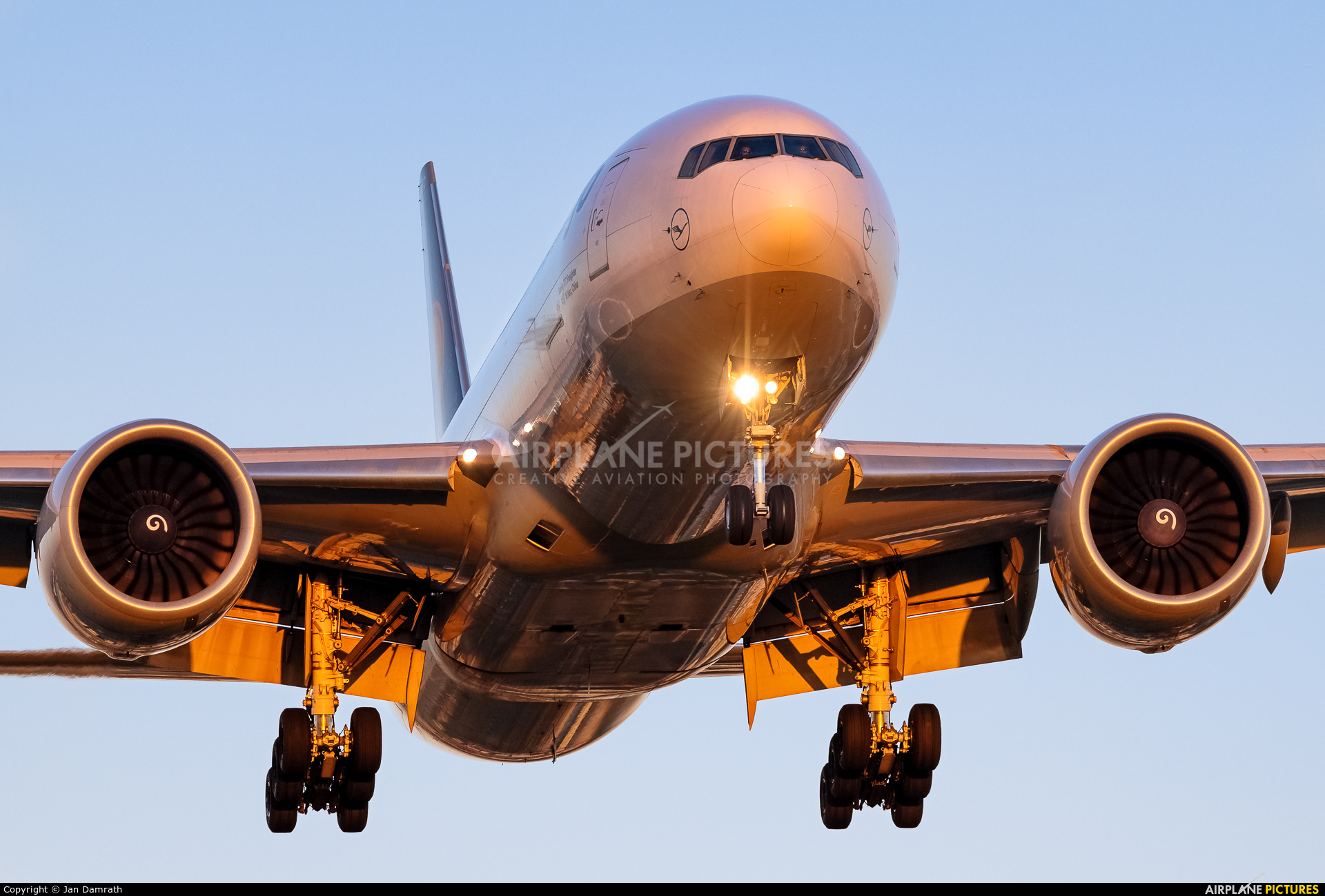 Lufthansa Cargo D-ALFC aircraft at Frankfurt