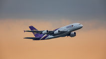 Thai Airways HS-TUD image
