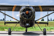 Amicale Alanconnaise des Avions Anciens F-GDSN image