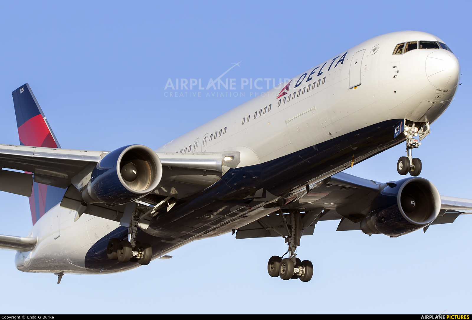 Delta Air Lines N175DN aircraft at Los Angeles Intl