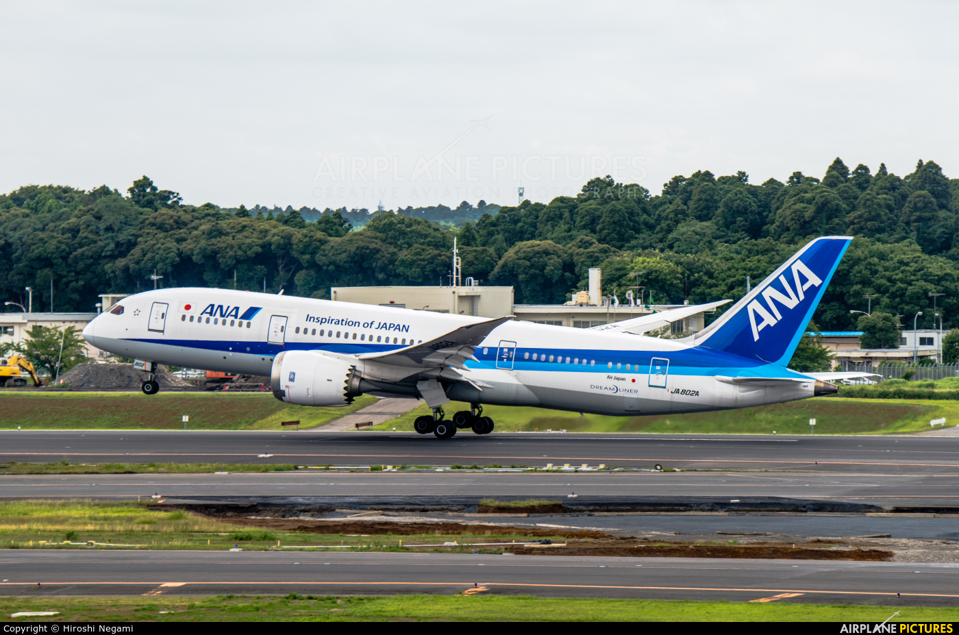 ANA - All Nippon Airways JA802A aircraft at Tokyo - Narita Intl