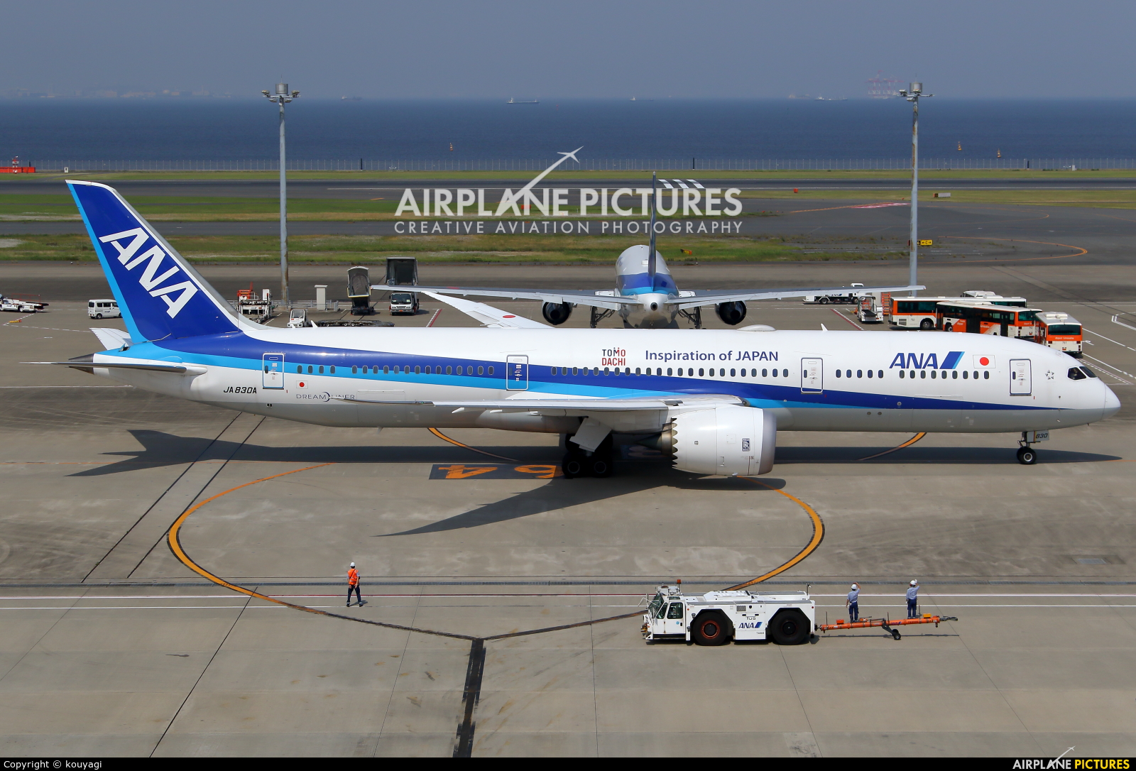 ANA - All Nippon Airways JA830A aircraft at Tokyo - Haneda Intl