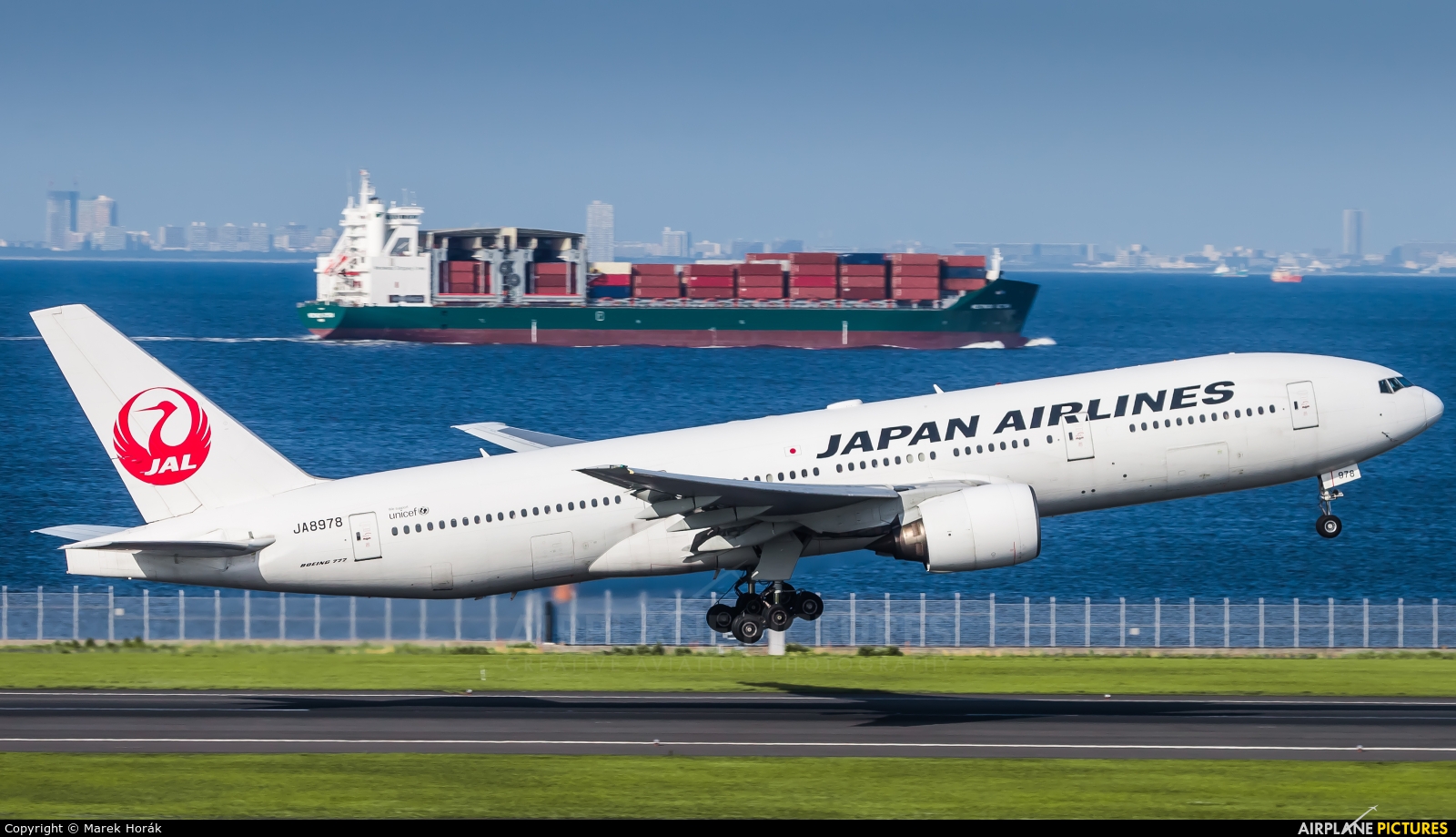 JAL - Japan Airlines JA8978 aircraft at Tokyo - Haneda Intl