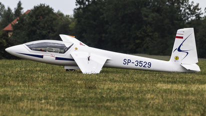 SP-3529 - Aviomet Display Team Swift S-1