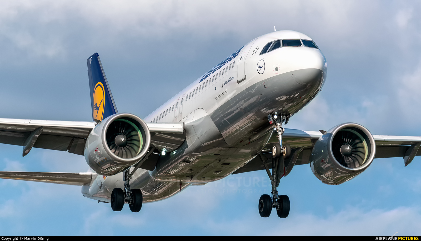 Lufthansa D-AINF aircraft at Frankfurt