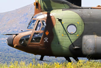 HT.17-05 - Spain - Army Boeing CH-47D Chinook