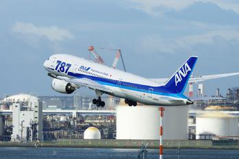 JA821A - ANA - All Nippon Airways - Airport Overview - Overall View