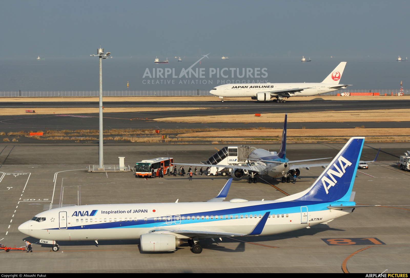 ANA - All Nippon Airways JA77AN aircraft at Tokyo - Haneda Intl