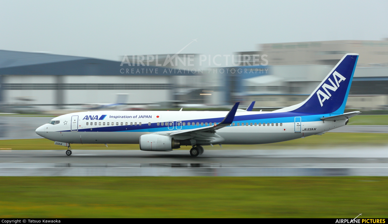 ANA - All Nippon Airways JA55AN aircraft at Osaka - Itami Intl
