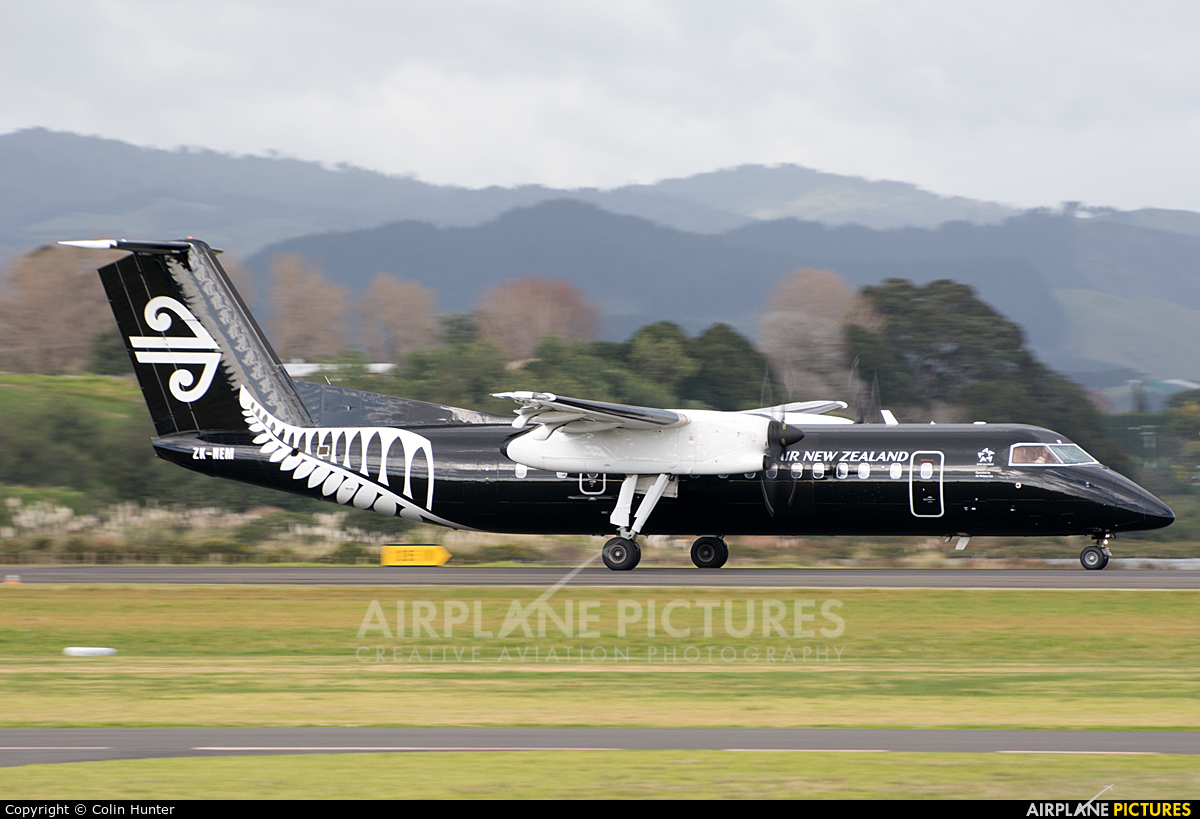 Air New Zealand Link - Air Nelson ZK-NEM aircraft at Tauranga