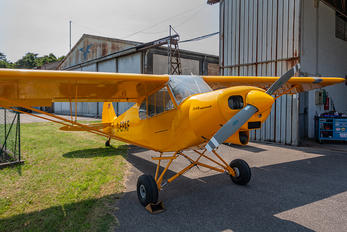 D-EPAF - Private Piper PA-18 Super Cub