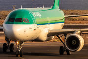 EI-DES - Aer Lingus Airbus A320 aircraft