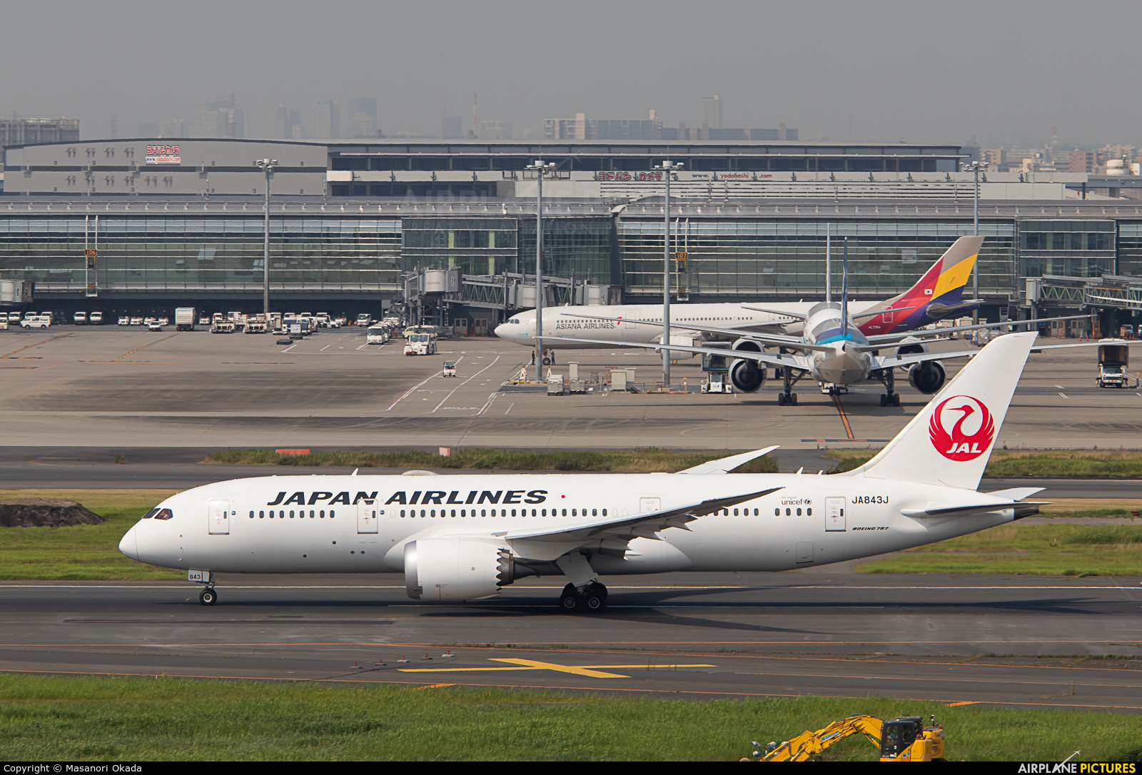 JAL - Japan Airlines JA843J aircraft at Tokyo - Haneda Intl