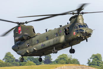 ZD983 - Royal Air Force Boeing Chinook HC.2