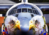 FAC1004 - Colombia - Air Force Lockheed C-130H Hercules aircraft