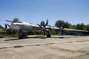 01 - Ukraine - Air Force Tupolev Tu-95MS aircraft