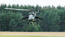 Poland - Army 734 image