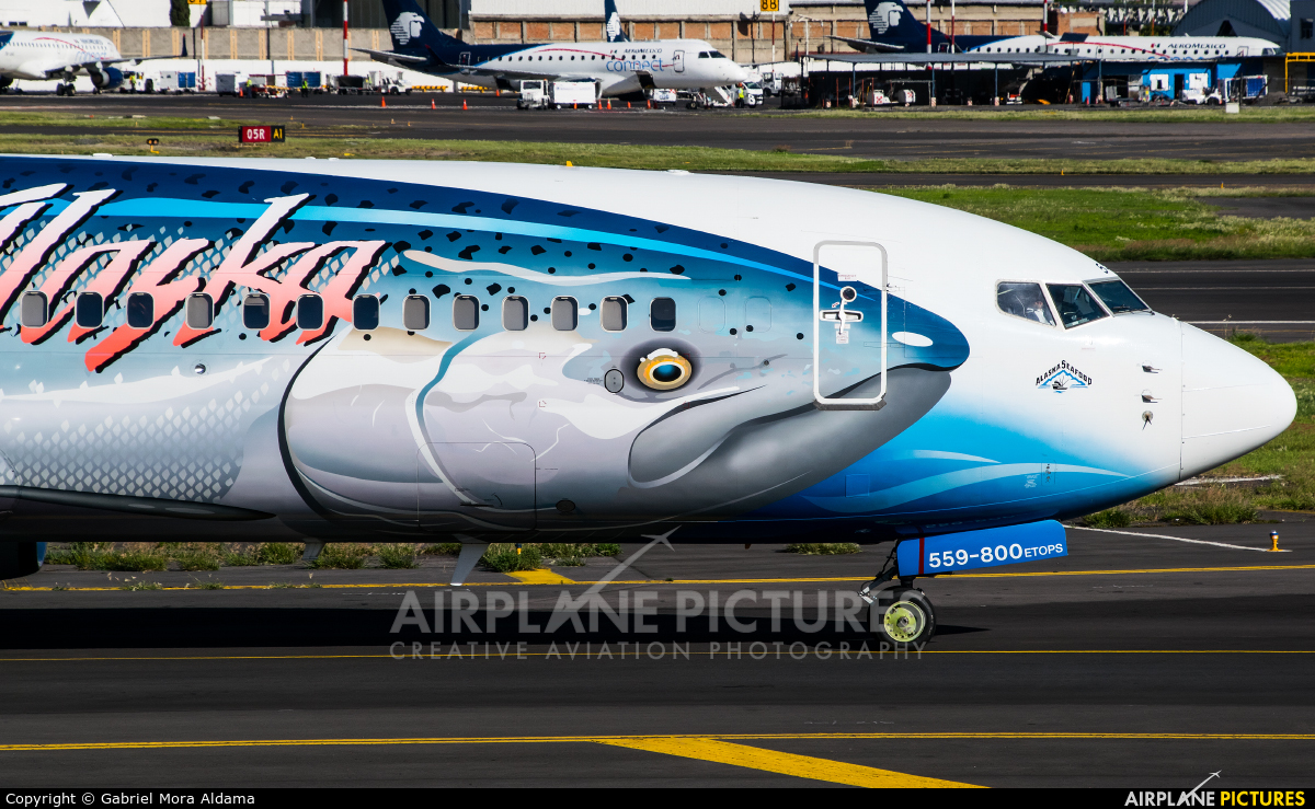 Alaska Airlines N559AS aircraft at Mexico City - Licenciado Benito Juarez Intl
