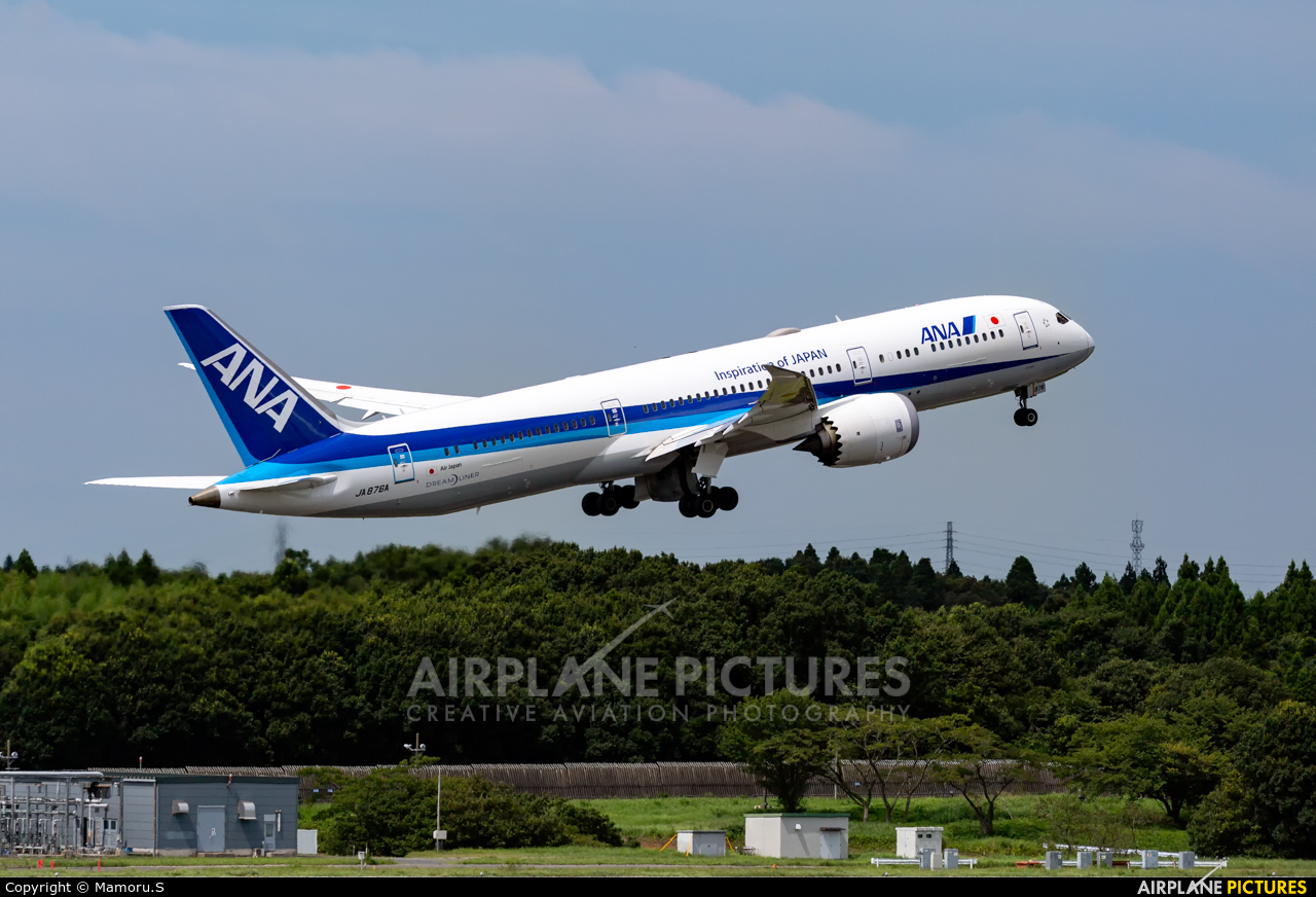 ANA - All Nippon Airways JA876A aircraft at Tokyo - Narita Intl