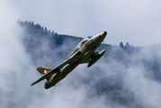 HB-RVP - Fliegermuseum Altenrhein Hawker Hunter T.68 aircraft