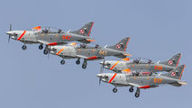 Poland - Air Force "Orlik Acrobatic Group" 047 image