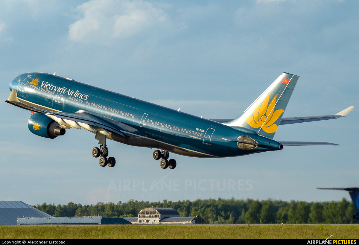 Vietnam Airlines VN-A381 aircraft at Moscow - Domodedovo