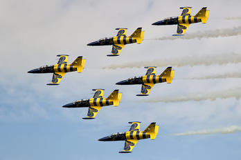 - - Baltic Bees Jet Team  