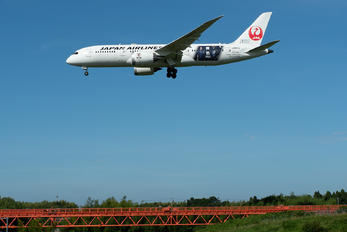 JA841J - JAL - Japan Airlines Boeing 787-8 Dreamliner