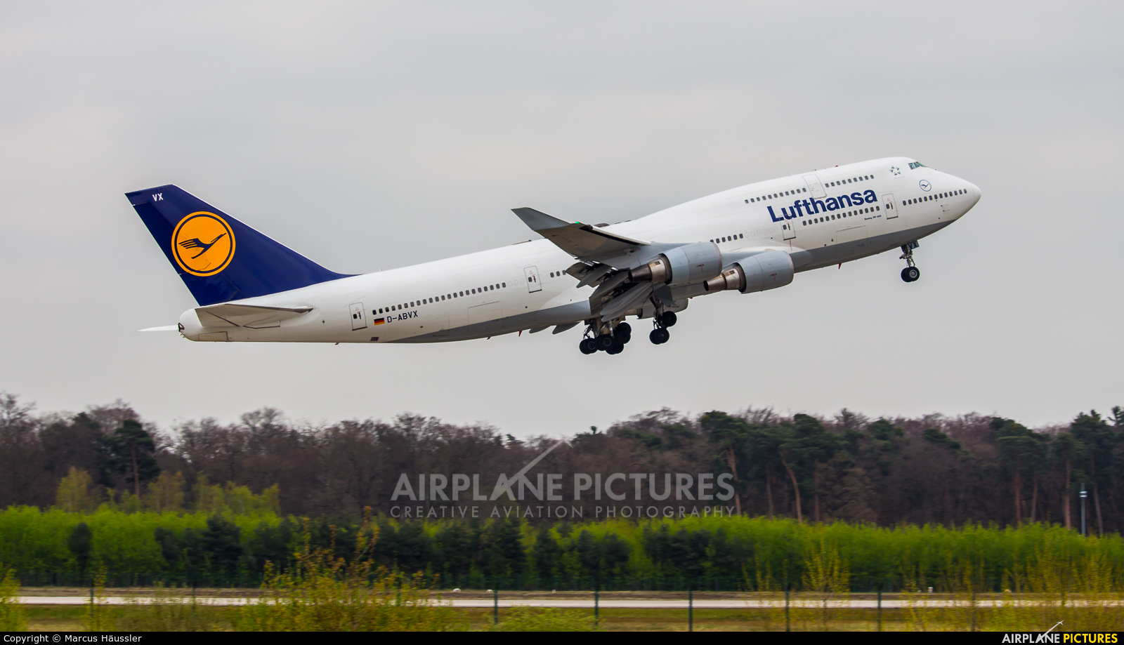 Lufthansa D-ABVX aircraft at Frankfurt