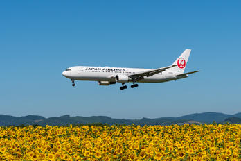 JA8986 - JAL - Japan Airlines Boeing 767-300