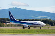ANA - All Nippon Airways JA17AN image