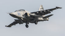 Ukraine - Air Force 63 image